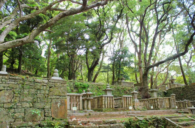 萬松院 敷地内の風景