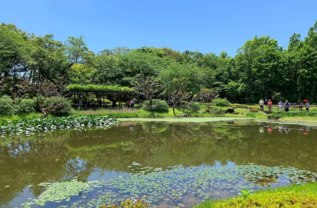 皇居東御苑 二の丸庭園の風景