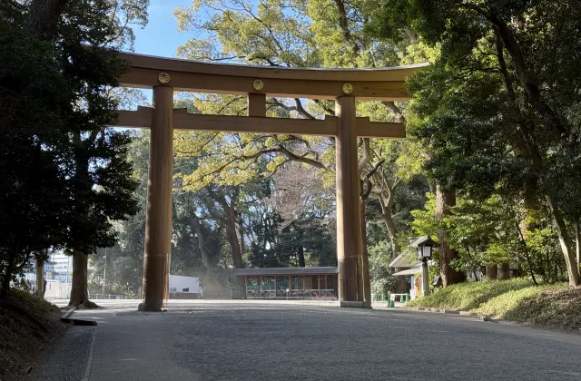 明治神宮の鳥居