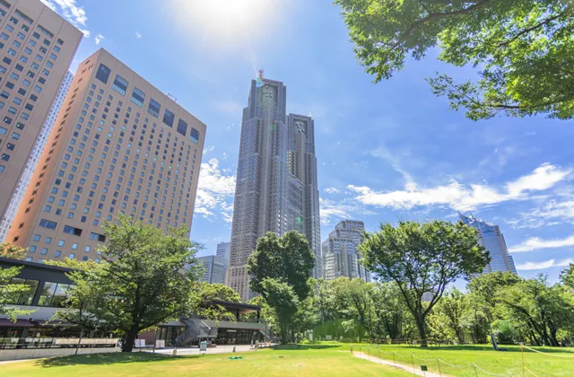 公園から眺める東京都庁