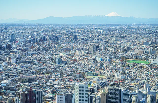 東京都庁から見る東京の街と富士山