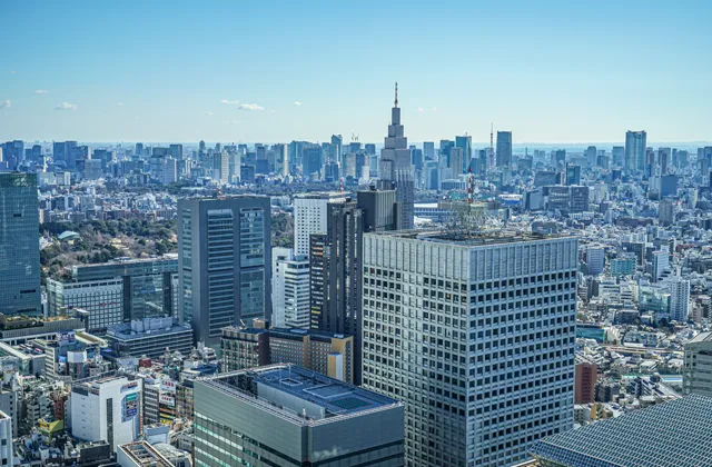 都庁から見おろす東京の街並み