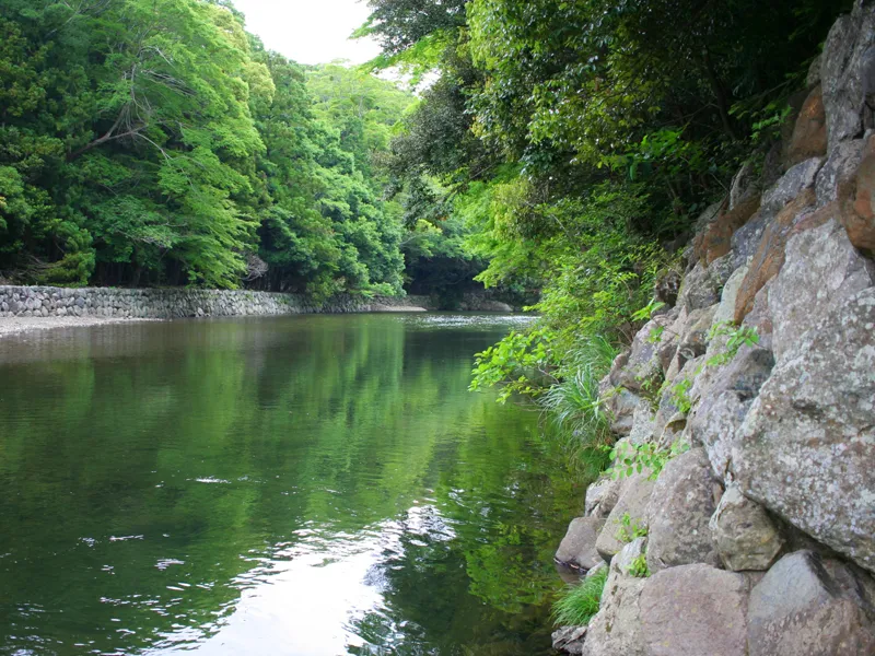 内宮そばを流れる、清流五十鈴川の岸辺